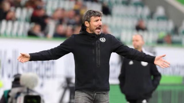 确实相关 确实相关